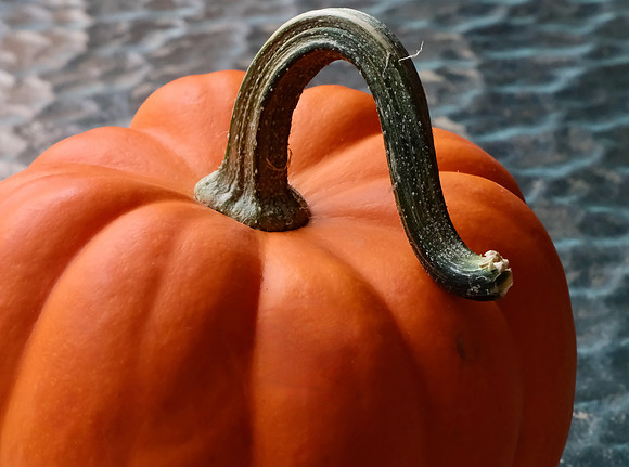 pumpkin with stem 2 2025