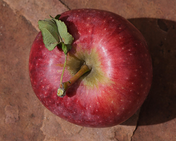 Apples 5 autumn 2025