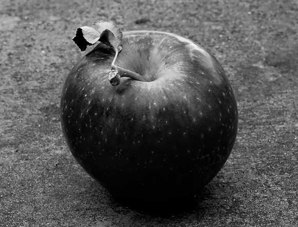 Apples 6 autumn 2025