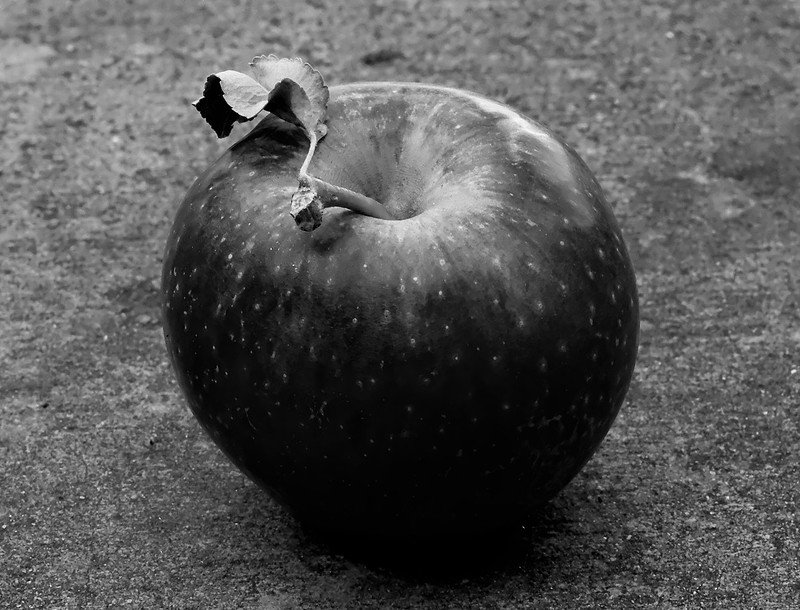 Apples 6 autumn 2025