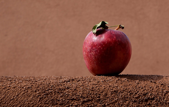 Apples 2 autumn 2025
