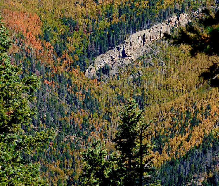 Autumn along Winsor Trail Santa Fe Ski Basin Raven Ridge trail  1 2025