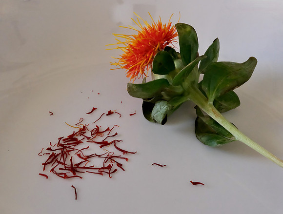Food - saffron flower & saffron 2
