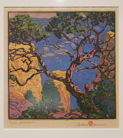Gustave Baummann exhibit, New Mexico Musuem of Art, Santa Fe, NM, "Piñon Grand Canyon " 1921