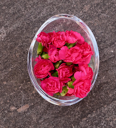flowers - carnations 2 2026