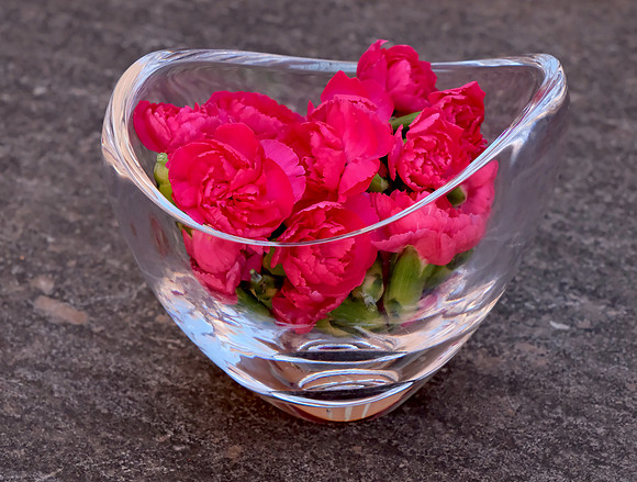 flowers - carnations 1 2026
