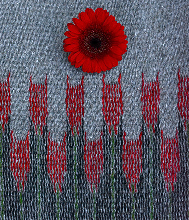 Rug 437 with gerber daisy 2 2026
