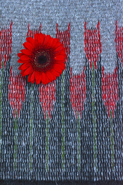 Rug 437 with gerber daisy 1 2026