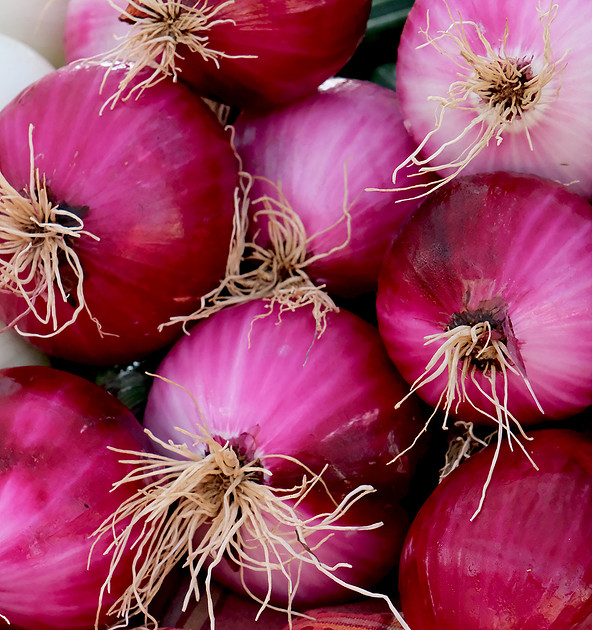 Farmers Market Santa Fe purple onions 2026