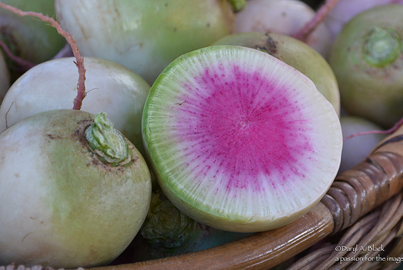 Food - watermelon radish