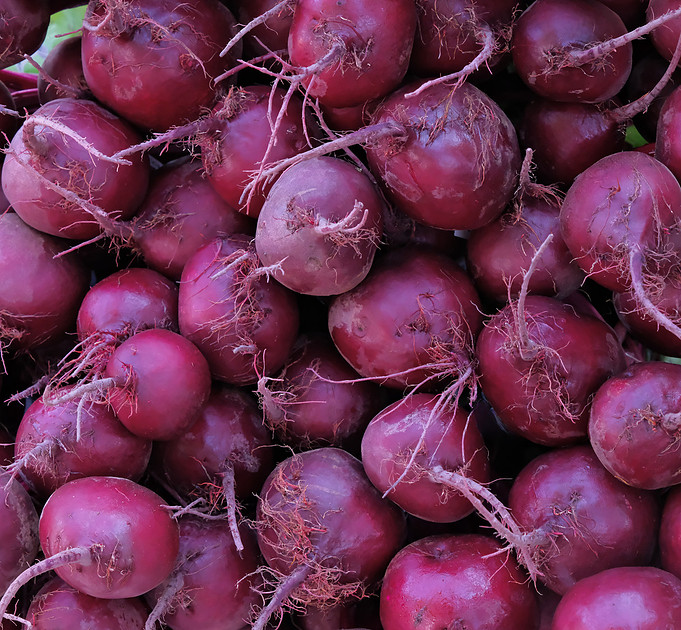 Farmers Market Santa Fe red beets  2026