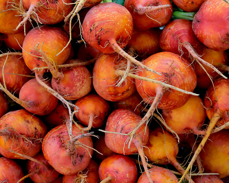 Farmers Market Santa Fe orange beets 2 2026