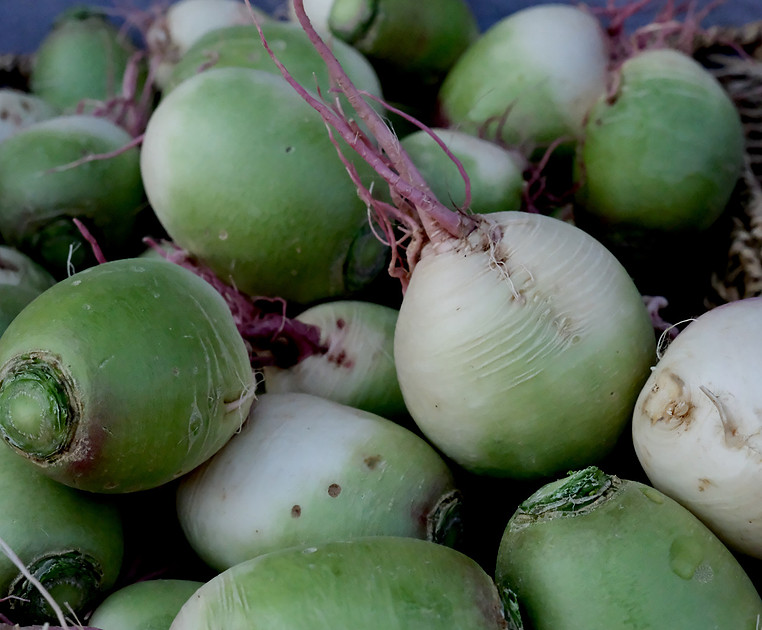 Farmers Market Santa Fe watermelon radish  2026