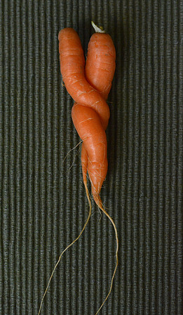 Food - carrot study 3