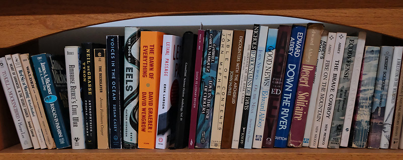 books blog 1