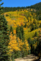 autumn hike on Aspen Vista Trail 4 2026