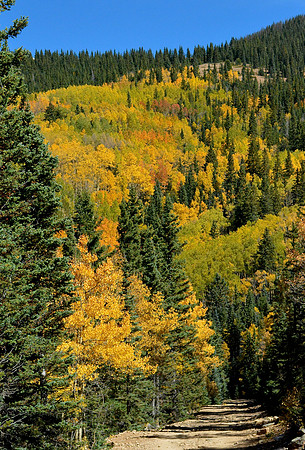 autumn hike on Aspen Vista Trail 4 2026
