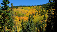 autumn hike on Aspen Vista Trail 2 2026
