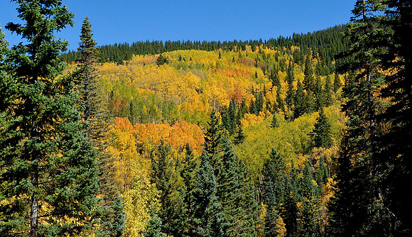 autumn hike on Aspen Vista Trail 2 2026