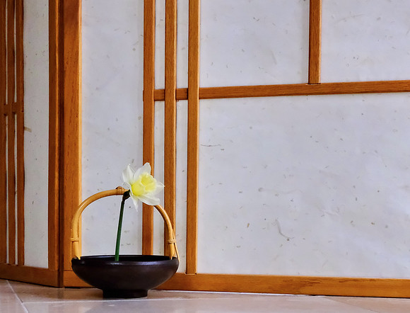 daffodil & vase still life 4 2025