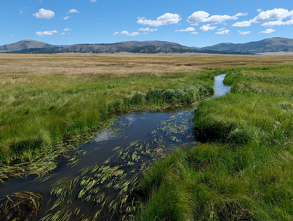 Valles Caldera East Fork of the Jemez River 1 2023