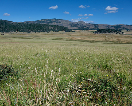 Valles Caldera and Cerro La Jara 2023