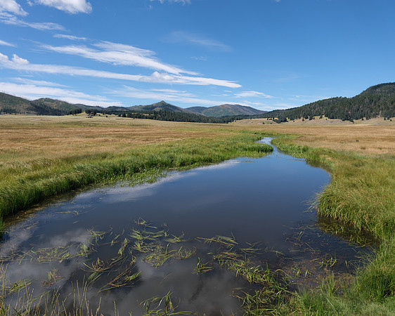 Valles Caldera East Fork of the Jemez River 5