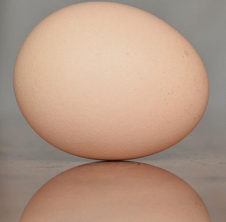 egg reflection