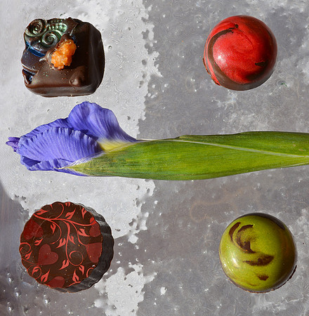 iris and chocolate 1