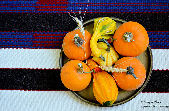 Harvest set up 3