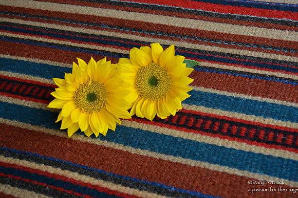sunflowers and rug 325