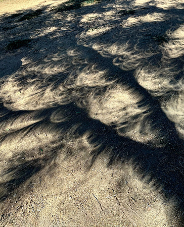 Annular eclipse 2023 3