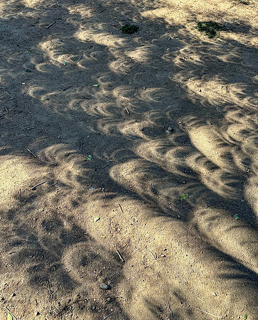 Annular eclipse 2023 5