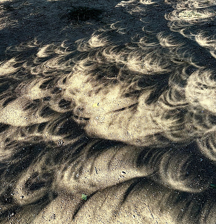 Annular eclipse 2023 4