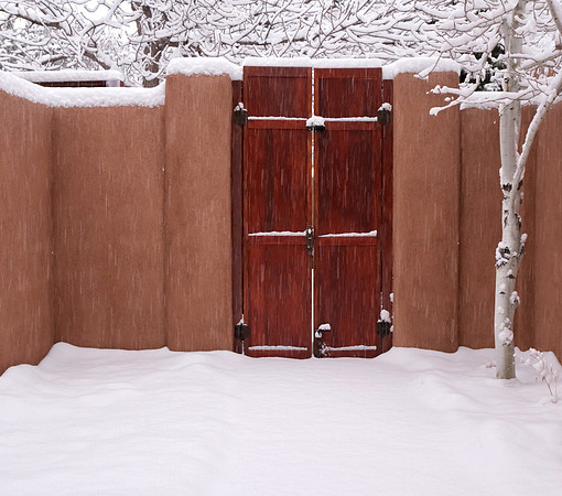 Winter - snow and shutter speeds 2023 1
