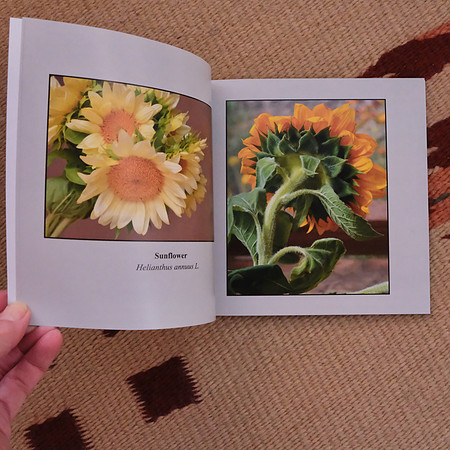photo books 4