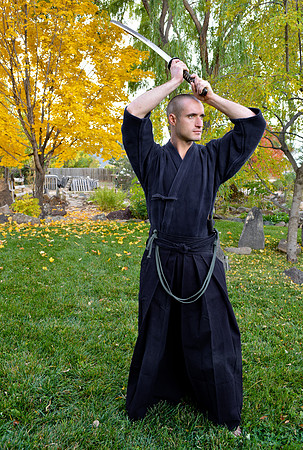 Travis Webb, kendo artist