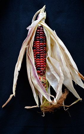 Corn jewels 5