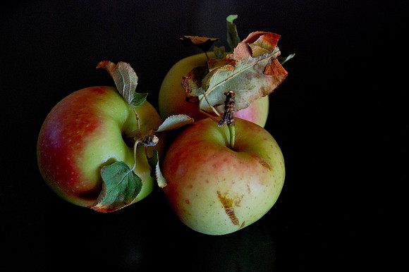 Victoria's apples