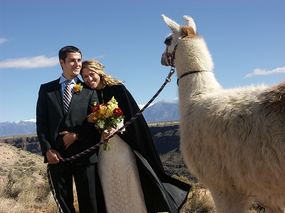 high mesa mock wedding