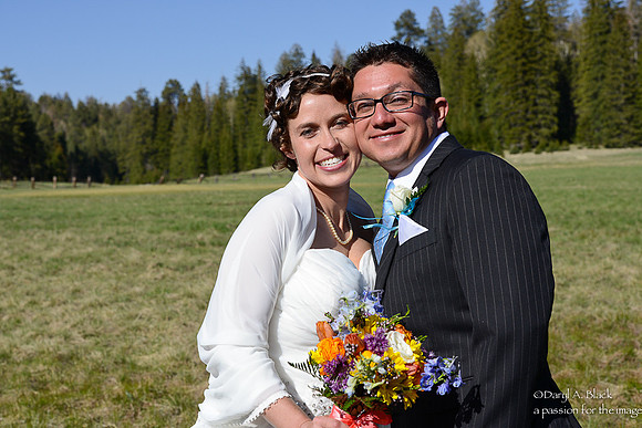 Watkins-Telles wedding 2013