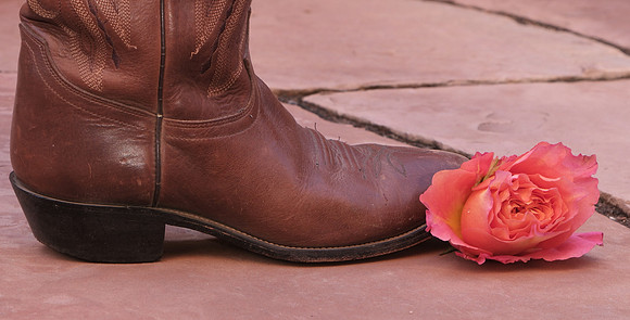 Valentine's Day roses 2024 2