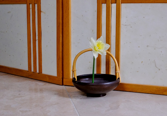 daffodil & vase still life 8 2025