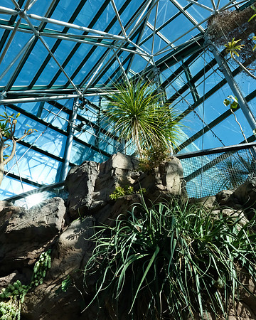 ABQ Botanic Garden Conservatory 2 2025
