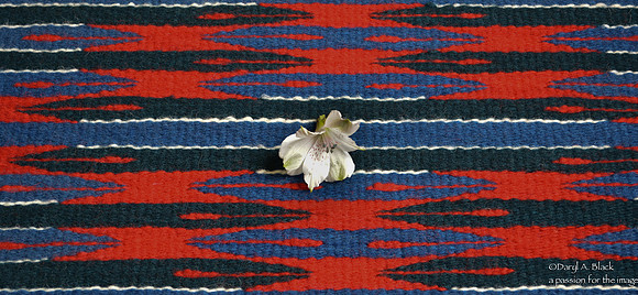Peruvian lily and rug 315 # 2