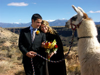 Mock Wedding 81
